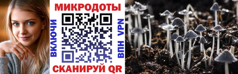 Купить  Подольск  Псилоцибиновые грибы мицелий 